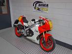 YAMAHA XSR 900 GP, 890 cc, Motorrijbewijs A, Bedrijf, Sport
