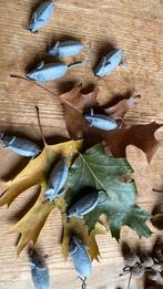 10 muizen zoeken een herfsttafel of als schoencadeau €2,50ps, Hobby en Vrije tijd, Verzenden, Nieuw, Figuurtje(s), Wolvilt