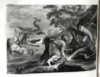 De Gedaant-wisselingen van P Ovidius Naso 1732 Groot formaat, Antiek en Kunst, Antiek | Boeken en Bijbels, Ophalen of Verzenden