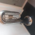 een es-bas en een Es Sousafoon, Muziek en Instrumenten, Blaasinstrumenten | Tuba's, Ophalen, Gebruikt, Es-tuba