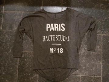 Tuniek-shirt grijs maat L (40-42), doorzichtig beschikbaar voor biedingen