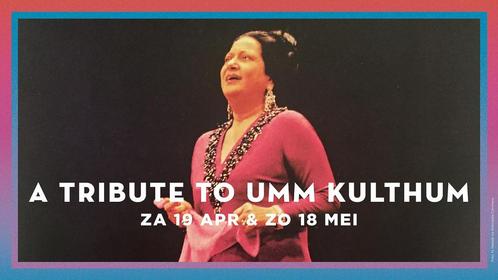 1 kaartje voor zondag 18 mei Tivoli, Tickets en Kaartjes, Concerten | Overige, Eén persoon