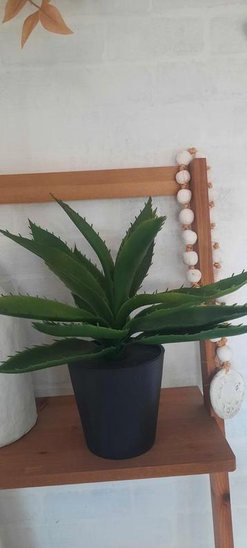 Kunstplant Aloë Vera in Pot beschikbaar voor biedingen
