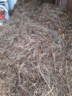 Midibalen in plastic,  1e snede 2024, Dieren en Toebehoren, Dierenvoeding, Ophalen, Vee
