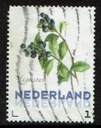 np819 liguster, Ophalen of Verzenden, Na 1940, Gestempeld