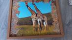 Giraffe schilderijtje  27x 32, Ophalen of Verzenden