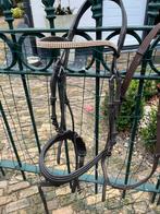 Premiere hoofdstel maat Full, Ophalen of Verzenden, Nieuw, Springen