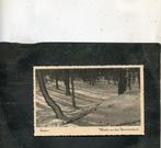 Ansicht Baarn - Winter in het Dennenoord, Verzamelen, Ansichtkaarten | Nederland, Verzenden, 1940 tot 1960, Gelopen, Utrecht