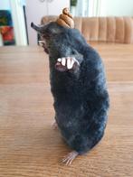 Opgezette Mol met drol taxidermie taxidermy curiosa, Antiek en Kunst, Ophalen of Verzenden