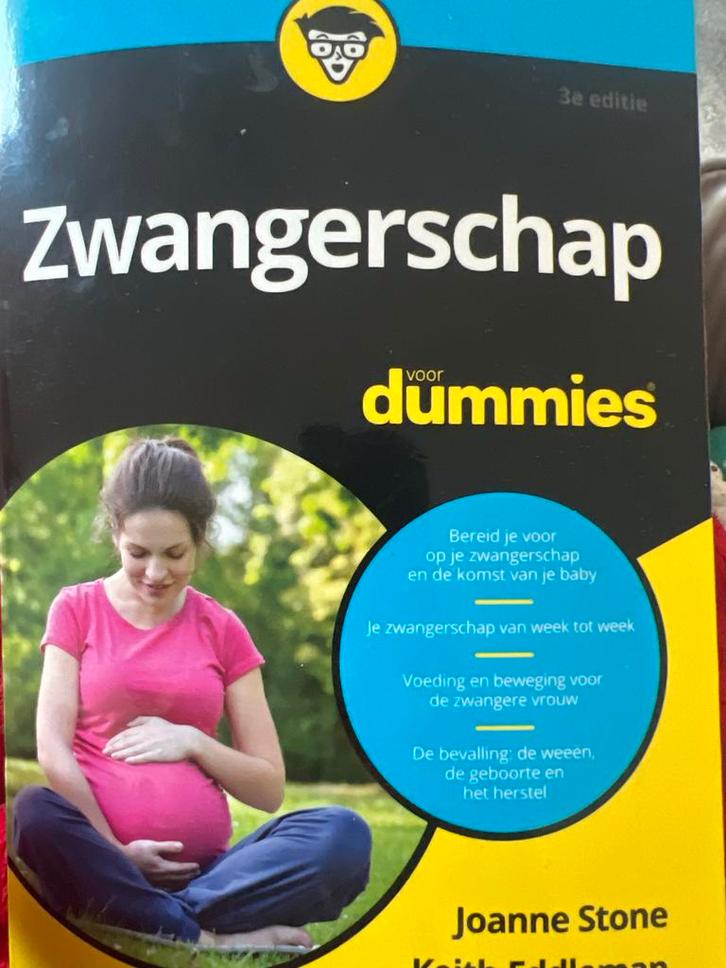Zwangerschap voor Dummies - Complete Gids, Boeken, Zwangerschap en Opvoeding, Nieuw, Zwangerschap en Bevalling, Ophalen of Verzenden