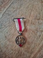 Oude Medaille met Rode Kruis, Ophalen of Verzenden, Brons, Nederland