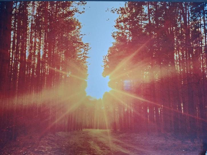 Infraroodpaneel, Huis en Inrichting, Woonaccessoires | Wanddecoraties, Nieuw, Ophalen