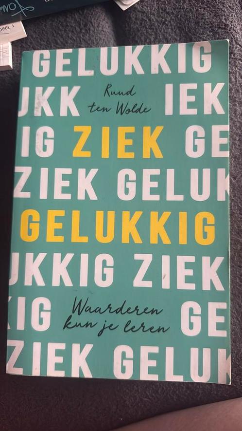 Ruud ten Wolde - Ziek gelukkig, Boeken, Psychologie, Zo goed als nieuw, Ophalen of Verzenden