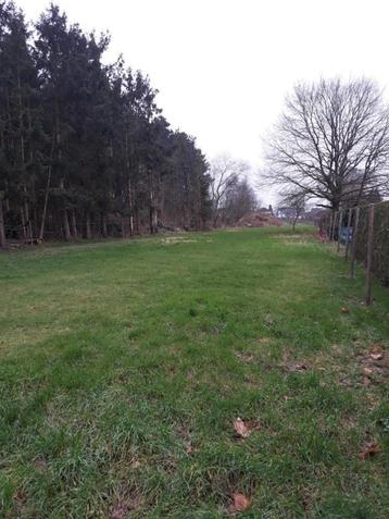 Weide te huur met stal + opslagruimte te Lanaken (Gellik) beschikbaar voor biedingen