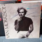 Lp van morrison wavelength, Ophalen of Verzenden, 1960 tot 1980, Zo goed als nieuw, 12 inch