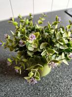 Kunstplantje in Groen Potje, Ophalen of Verzenden, Nieuw, Binnen