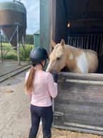 Verzorger bijrijder, Dieren en Toebehoren, Paarden en Pony's | Verzorgingsproducten, Ophalen of Verzenden, Nieuw