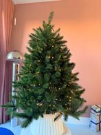 Triumph Tree Forest Frosted, Ophalen, Zo goed als nieuw