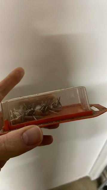 Stoffeernagels beschikbaar voor biedingen