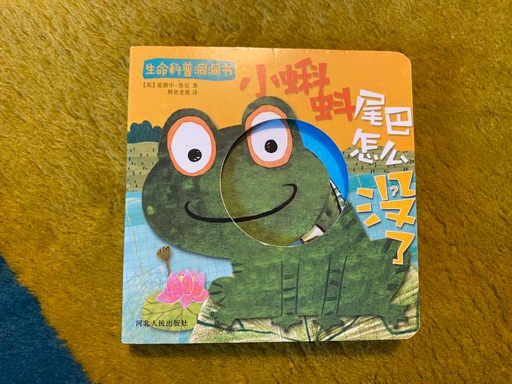 Chineestalig boekje over een kikker, Boeken, Kinderboeken | Kleuters, Zo goed als nieuw, Ophalen of Verzenden