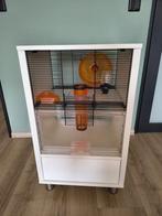 Hamster- knaagdierenhok Omlet nette staat met accessoires, Minder dan 75 cm, Zo goed als nieuw, Hamster, Ophalen