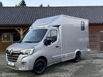 Renault Master NW Model Paardenwagen Paardenvrachtwagen, Dieren en Toebehoren, Paarden en Pony's | Trailers en Aanhangwagens, Gebruikt