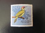 Postzegel Vogel: Groene Specht uit Polen, Ophalen of Verzenden, Gestempeld, Dier of Natuur