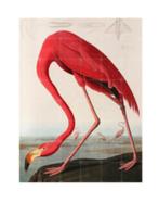 IXXI Flamingo 120x160 cm, Huis en Inrichting, Woonaccessoires | Wanddecoraties, Ophalen, Zo goed als nieuw