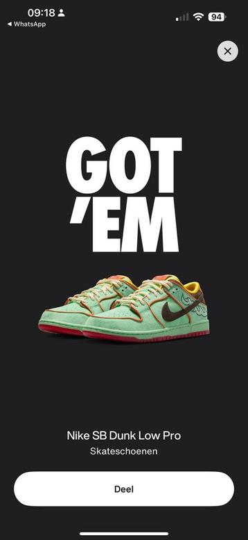 Nike SB Dunk Low Pro \\ Rodeo Tourmaline // 42,5 beschikbaar voor biedingen