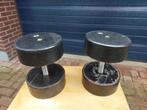 Dumbbell set 43 kg, Ophalen, Gebruikt, Armen, Dumbbell