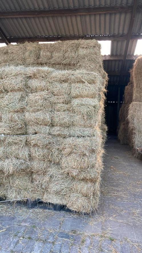 Frans weidehooi kleine baaltjes laag in suiker, Dieren en Toebehoren, Dierenvoeding, Ophalen of Verzenden