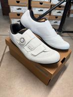 Shimano RC502 W Wielrenschoenen Dames 39 40 42 NIEUW, Bykz, Schoenen, Nieuw, Overige maten