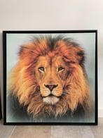 Canvas schilderij leeuw, Huis en Inrichting, Woonaccessoires | Schilderijen, Tekeningen en Foto's, Foto of Poster, 75 tot 100 cm