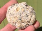 Bergkristal geode paartje set mineralen Xx, Verzamelen, Mineralen en Fossielen, Ophalen of Verzenden, Mineraal
