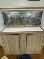 Aquarium plus kast, Dieren en Toebehoren, Vissen | Aquaria en Toebehoren, Ophalen, Gebruikt, Leeg aquarium