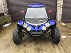 2010 Pgo Buggy Br500 Buggy