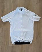 Assos mille GT jersey, maat S, Ophalen of Verzenden, Zo goed als nieuw, Bovenkleding