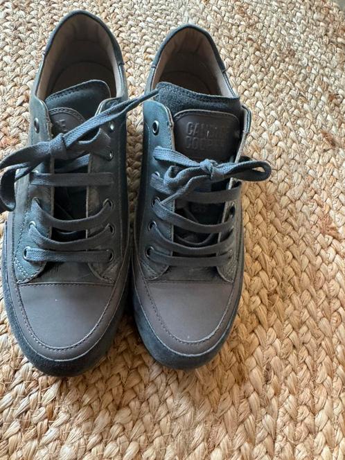 Candice Cooper sneacers grijs lakleer maat 37, Kleding | Dames, Schoenen, Zo goed als nieuw, Sneakers of Gympen, Grijs, Ophalen of Verzenden