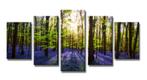 Nieuw * 5 Luik van Canvas * Lavendel Bomen XXL 200x100cm, Ophalen of Verzenden