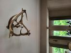 Gewei lamp, Huis en Inrichting, Lampen | Wandlampen, Ophalen, Gebruikt