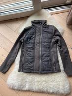 Montar Jasje/Vestje Training/Rijden Maat 152, Dieren en Toebehoren, Paardrijkleding, Ophalen of Verzenden, Zo goed als nieuw, Dressuur
