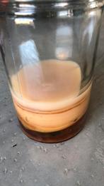 Scoby zwam voor kumbucha, Ophalen of Verzenden