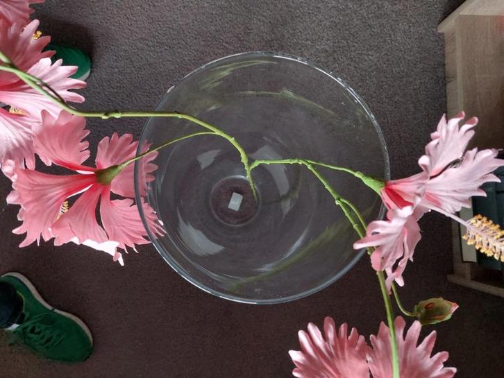 Grote ronde hoge vaas van glas  (70 cm ), Huis en Inrichting, Woonaccessoires | Vazen, Zo goed als nieuw, Overige kleuren, 50 tot 75 cm