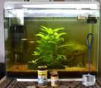 Aquarium Superfish Home 80, Dieren en Toebehoren, Vissen | Aquaria en Toebehoren, Ophalen, Gebruikt, Gevuld zoetwateraquarium