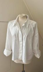 Blouse wit 42 XL katoen / jurk satijn / broek Cambio zwart, Kleding | Dames, Ophalen of Verzenden, Zo goed als nieuw, Maat 42/44 (L)