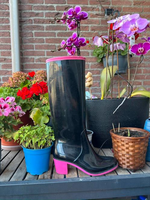 Warme regenlaarzen met hak – stijlvol en praktisch!, Kleding | Dames, Schoenen, Gedragen, Regenlaarzen, Zwart, Ophalen of Verzenden