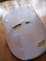 Kap hond midelgroot, Dieren en Toebehoren, Ophalen, Hond