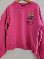 Z8 trui roze, Meisje, Ophalen of Verzenden, Zo goed als nieuw, Z8