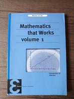 Mathematics that works volume 1, Boeken, Studieboeken en Cursussen, Gelezen, Ophalen of Verzenden, WO, Maarten de Gee