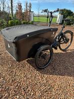 Bakfiets Triobike Boxter, Fietsen en Brommers, Fietsen | Bakfietsen, Overige merken, Gebruikt, Elektrisch, Ophalen